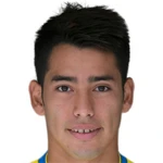 Sergio Araujo