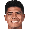 Wilder Cartagena 