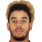Willem Geubbels