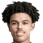 Shola Shoretire