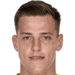 Radek Vitek