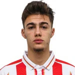 Nikola Mituljikic