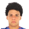 Emerson Urso