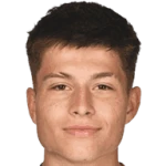 Esmir Bajraktarevic
