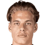 Joël van der Wilt