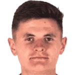 K. Dziedzic