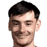 Dylan Levitt