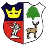 Cinderford Town