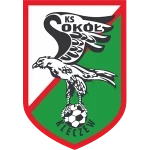 Sokół Kleczew