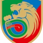 Miedź Legnica II