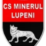 Minerul Lupeni