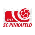 Pinkafeld