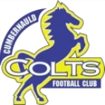 Cumbernauld Colts