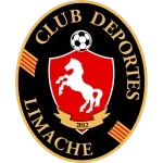Deportes Limache