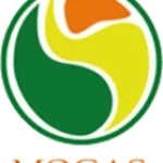 Mogas 90