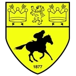 Newmarket Town