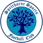 Spelthorne Sports