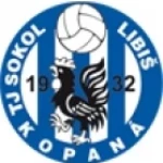 Sokol Libiš
