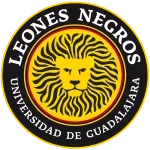 Leones Negros