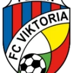 Viktorie Jirny