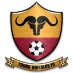 Young Buffaloes