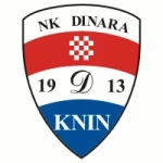 Dinara Knin
