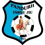 Pandurii Târgu Jiu