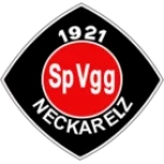 Neckarelz