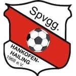 Hankofen-Hailing