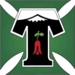 Deportes Temuco
