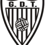 Torcatense
