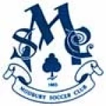 Modbury Jets