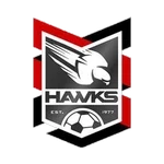 Holland Park Hawks