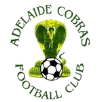 Adelaide Cobras