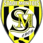 Stade Montois