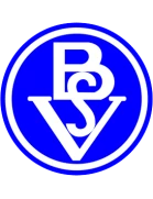 Bremer SV